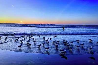 Image de Charming 2-bedroom apartment in amazing Miami with Ac, WiFi, fitness room