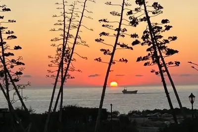 Image de Seaview 1-bedroom apartment with garden & pool in welcoming Paphos