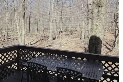 Poconos Whitetail Woods Getaway