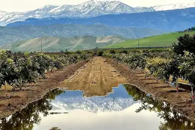 Image de Fall Relaxation, National Parks, Home in the Orchards in Quaint Exeter