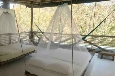 Image de Tree house Pergola Swimming pool at a virgin beach