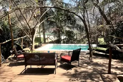 Image de Beachfront tree cabin with deck pool