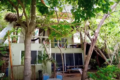 Image de Secret virgin front bay pool house and tree casita