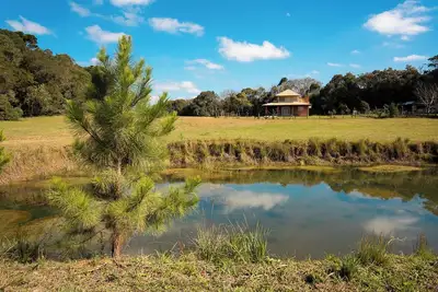 Image de Cozy, nature-filled, pet-friendly cottage