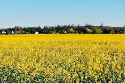 Image de Lovely Holiday Home in Dummer Near Lake