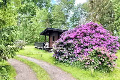 Image de Gemutliche Unterkunfte auf dem Reiterhof in Eschede