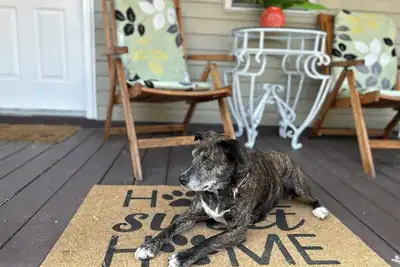 Image de Charming 3-bedroom, pet friendly house in Downtown Natchez