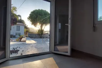 Image de Under the pine tree