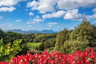 Image de Totara Ridge - A Private Escape with Ocean views\nWinter Weekly Specials