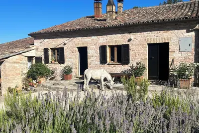 Image de Vacation apartment in the middle of paradise, on Monte Paganuccio / Marche. Nature and tranquillity.