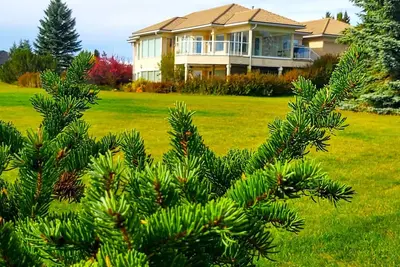 Image de Countryside Escape: \nPrivate Suite with Scenic Views