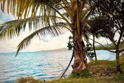 Image de Beach View 2/2 Condo w/ Pool and Ac