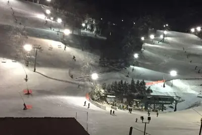 Image de Cozy condo, Family- friendly just completely remodeled. Ski In -Ski Out! !