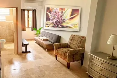 Image de Purple Haze@BednBongExp\n\n