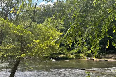 Image de Sweet Water Retreat- 2/2 River Front, dog friendly, Hot Tub, fenced area