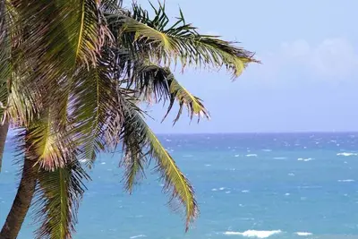 Image de Penthouse Cabarete Ocean Front/270°view 110m2+sunroof