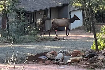 Image de Escape to a world of Komfort in our Kozy 2 Bedroom 1 Bathroom Kabin