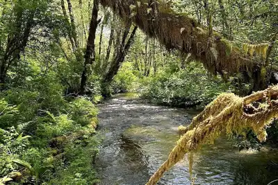 Image de Sweet Root Hollow - 12 Private Acres on Farmer Creek