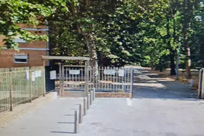 Image de In the city green