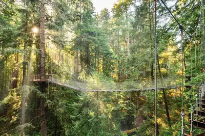 Image de \"Park Place\" @ #RedwoodSkyWalk & Sequoia Park Zoo: 5bd*, Pool Table, Game Room, Kiva, Gas Grill!