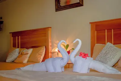 Image de Charming bungalow with WiFi and Ac in enchanting La Fortuna