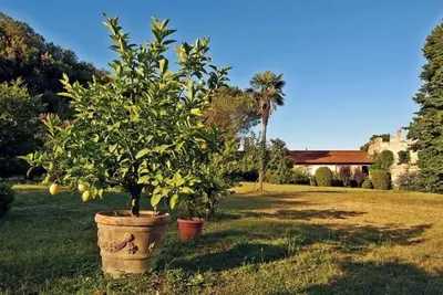 Image de Agritourism Farm Bigongiari