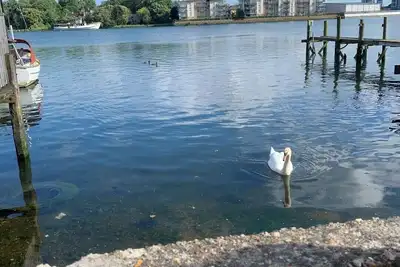 Image de Perfect 2-bedroom house, Albert cottage with WiFi in charming Southampton