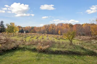 Image de Vineyard View – Cozy Family Retreat