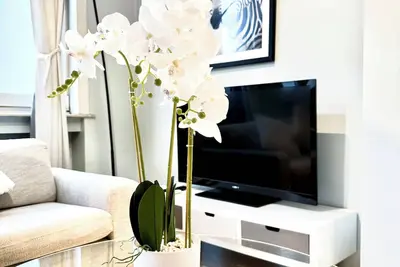 Image de Luxurious 2 bedroom apartment in place flagelo