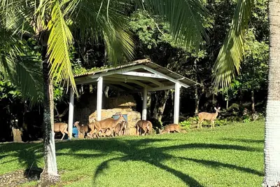 Image de Deer Creek Estate near Juan Santamaria International Airport.