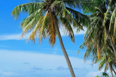 Image de Sunny Days Retreat, . 5 miles to beach, Fishing, 90min to Disney. Pet friendly