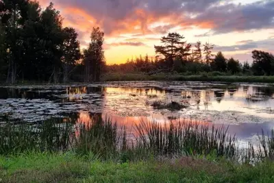 Image de A 3-bedroom cottage full of old world charm and character in Rheenendal.