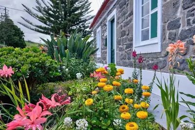 Image de Casa D'Eira by Azores HomeMade