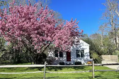 Image de Petite Antique, location, location, location