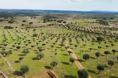 Image de Casa da Meada - Herdade Santo Isidro | Santo Isidro 6 | Alentejo