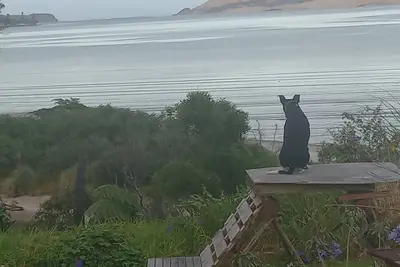 Image de Rustic Dunes