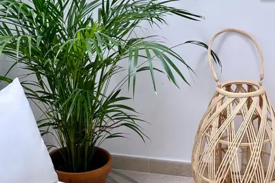 Image de Coastal flair at its best, steps from beaches, bars and restaurants