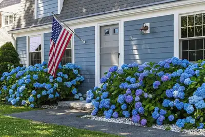 Image de Walk to the Beach - 5br Falmouth Heights Cape Dream - Pets Welcome