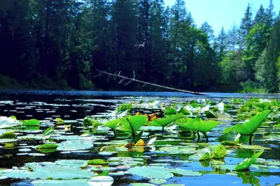 Image de The smart choice in Plano