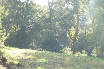 Stone built 2 bedroom cottage overlooking a tarn in woodland near Cartmel