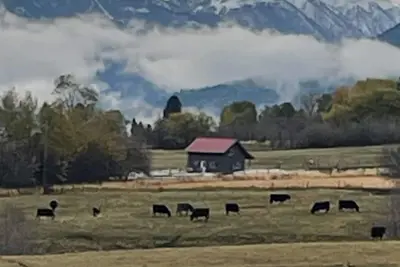 Juniper Cabin. Private cabin with majestic views and clear stargazing dome!