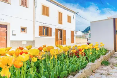 Image de Vila Ca Shermano - Apartamento Con Wifi Gratis