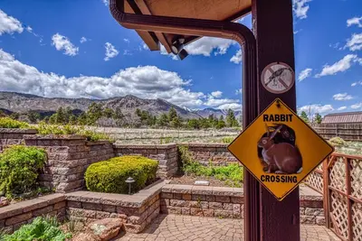 Image de BunnyLand Lodge | Panoramic Mt. Views | Fantastic Backyard Patio | Scenic Location in Flagstaff