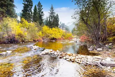 Image de Scenic retreat w/two cabins, abundant wildlife, forest views, & fishing