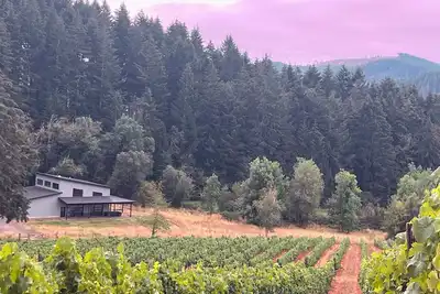 Image de Unwind in Wine Country