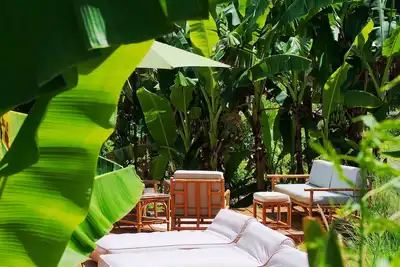 Image de Little Diamond Jungle Home, Panoramic Ocean Views, 2 Verandas &Tropical Garden