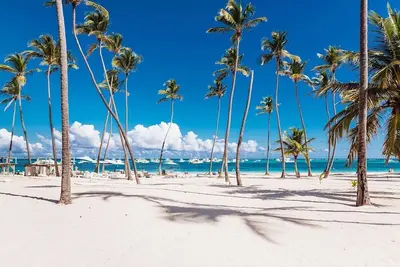 Image de Amazing suite steps to the beach