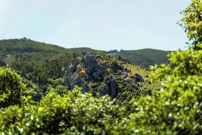 Image de Enjoy the outdoors by the Rocky Bayou
