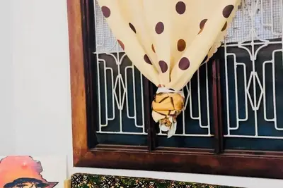 Image de Charming  3-bedroom house in beautiful Nungwi  footsteps from Nungwi Beach.