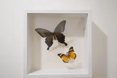 Image de Convenient 5-minute walk from Teradacho Station in the Tennoji area Comfortable, safe, quiet, and clean lodging (up to 6 people) for private use